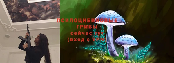 индика Алексеевка
