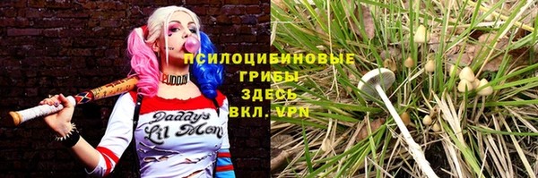 дурь Алексин