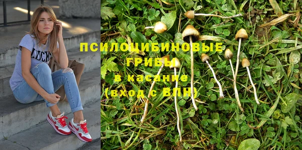 индика Алексеевка
