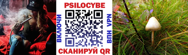 Псилоцибиновые грибы ЛСД  как найти закладки  Исилькуль 